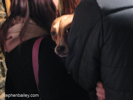 IMG_0194.jpg IMG_0194.jpg