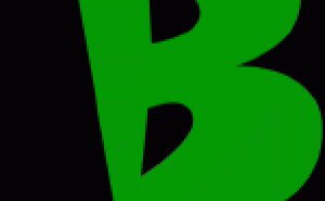 The Bailey Green